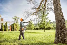 Leaf Removal in Miles, TX